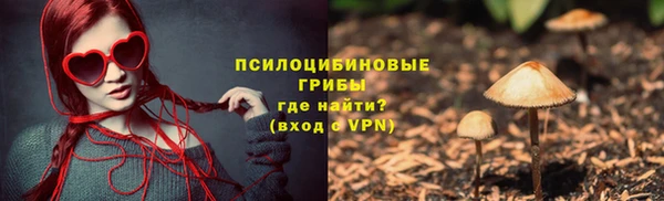 стаф Алзамай