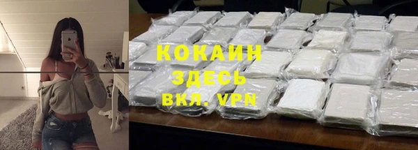 стаф Алзамай