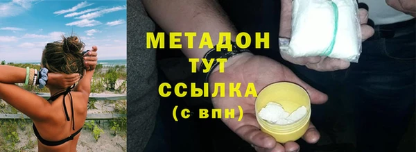 стаф Алзамай
