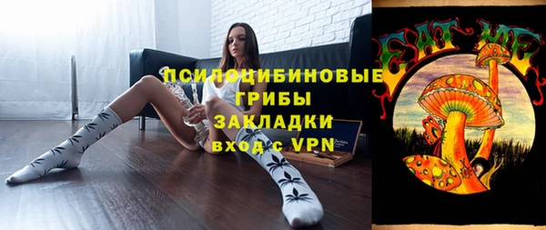 стаф Алзамай