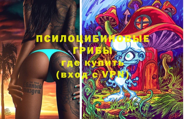 стаф Алзамай