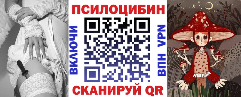 мега зеркало  Хвалынск  Псилоцибиновые грибы Psilocybe 